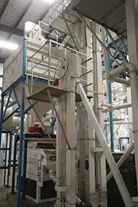 Grains Processing Plant